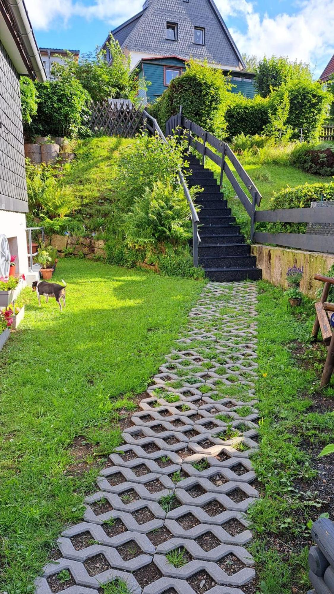 Ferienwohnung Friedrichsruh Braunlage Luaran gambar