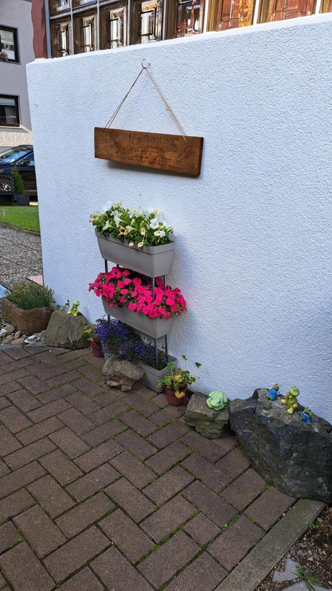 Ferienwohnung Friedrichsruh Braunlage Luaran gambar